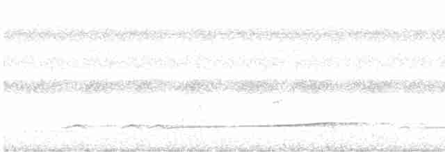 Лінивка-смугохвіст західна - ML611071620
