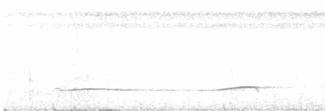 Лінивка-смугохвіст білогорла - ML611072346