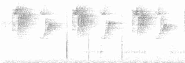 Большеклювый колибри-отшельник (margarettae) - ML611074883