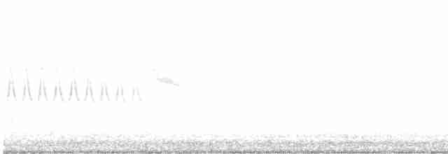 Swinhoe's White-eye - ML611076615