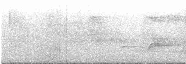 Бурый павлиний фазан - ML611076680