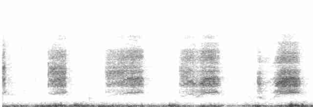 Белокрылый корхан - ML611078977