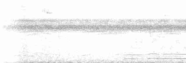 Black-crested Antshrike - ML611081456