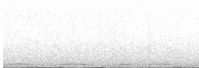 holub tonžský - ML611083979