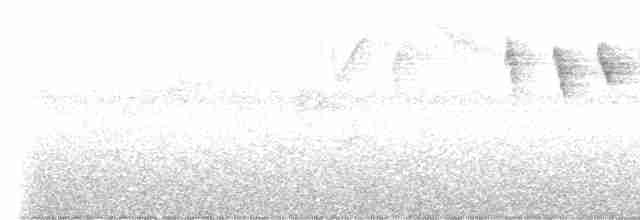rødhettestifthale - ML611086087