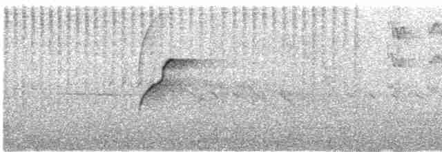 Batı Amerika Sinekkapanı (occidentalis/hellmayri) - ML611086536