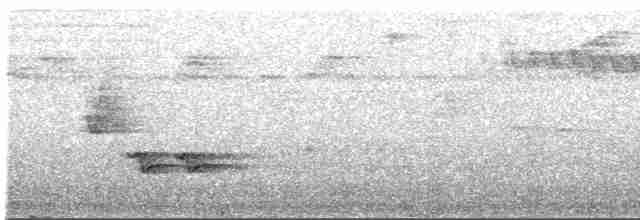 Çizgili Gerdanlı Çıtkuşu - ML611088312