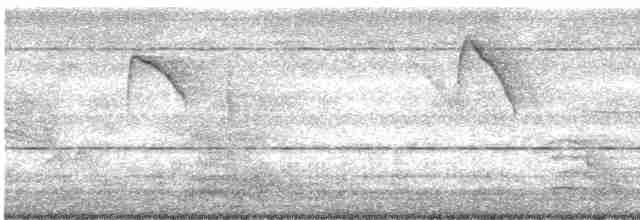 Белогорлая веерохвостка - ML611089224