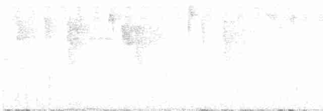 Clorospingo Oscuro - ML611095257