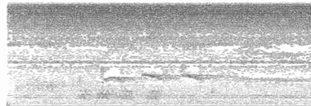 Black-tailed Trogon - ML611100995