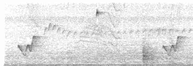 Ak Kaşlı Çıtkuşu - ML611101518