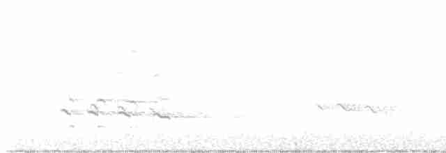 Kuliska hankahori handia - ML611102107
