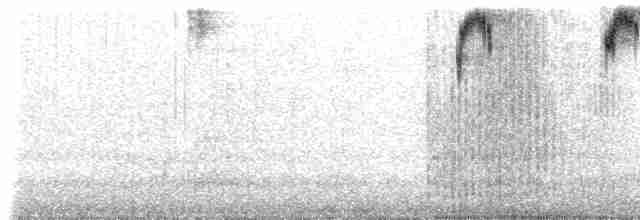Kadife Karınlı Dağ Kolibrisi - ML611105021