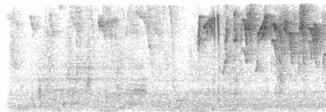 Kadife Karınlı Dağ Kolibrisi - ML611105163