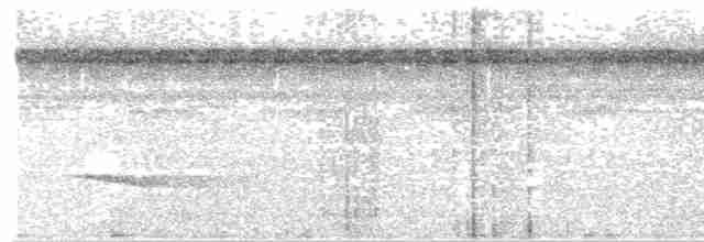 Мурав’янка-куцохвіст плямиста - ML611109327