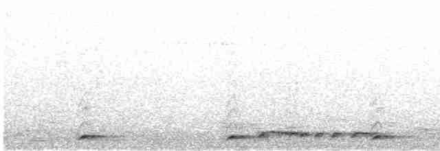 barbet zvučnohlasý (ssp. indicus/delicus) - ML611118156