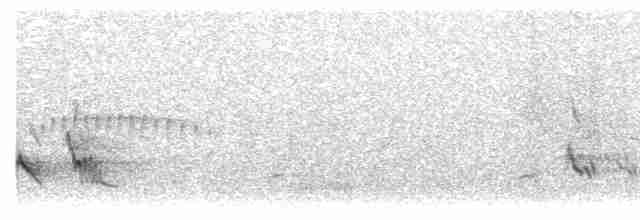 Sinsonte Tropical (grupo gilvus) - ML611118574