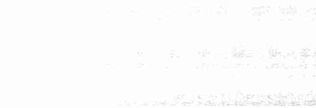 Малайская лесная куропатка - ML611120819