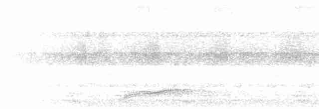 Bändernachtschwalbe - ML611121025