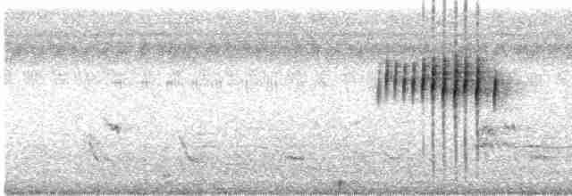 חרגולן סיבירי - ML611123538