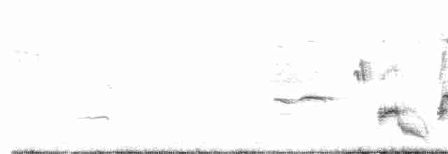 Batılı Tarlasığırcığı - ML611123850