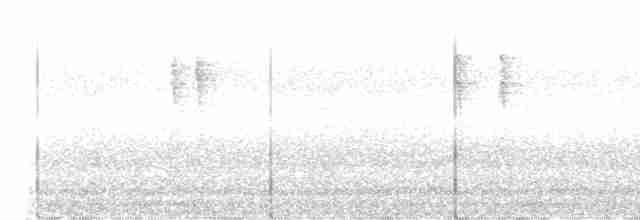 Тихоокеанский крапивник - ML611125136