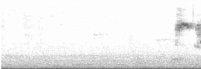 Percefleur noir - ML611125194