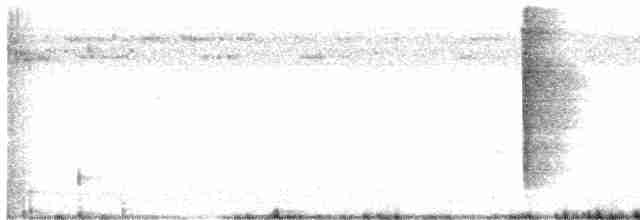 Тремблер прямодзьобий - ML611127577