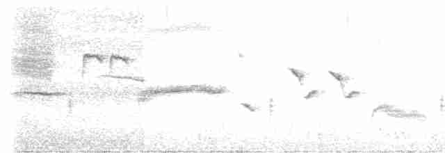 Травяной крапивник - ML611130219