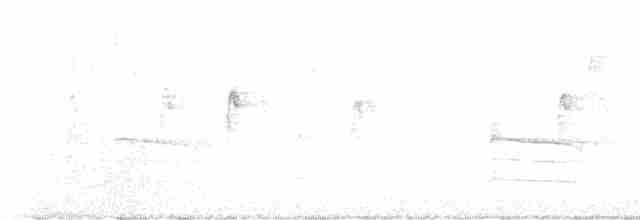 strnadec bělohrdlý - ML611131038