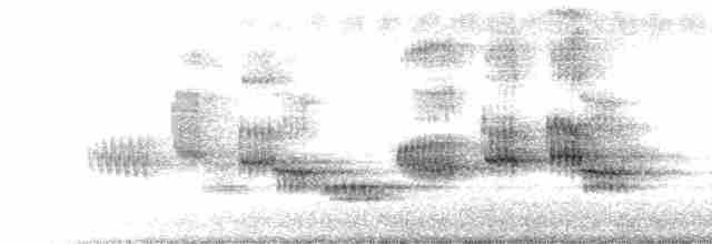 黑領椋鳥 - ML611132336
