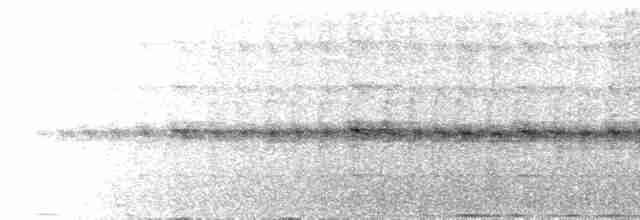 Дятел-куцохвіст чорночубий - ML611132368