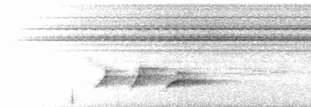 Зозуля-довгохвіст гірська - ML611133111