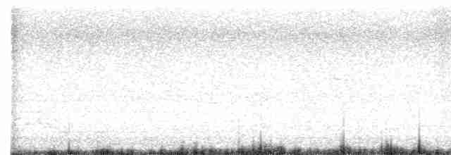 Tordo Gigante - ML611133817