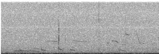 Western Meadowlark - ML611135153