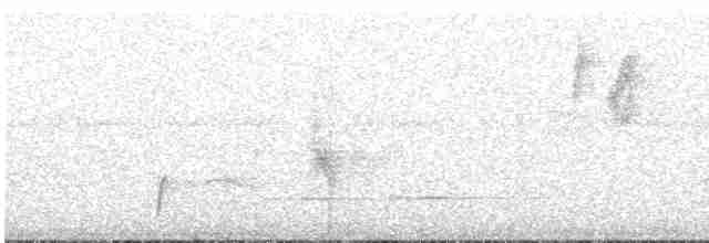 Лінивка-смугохвіст панамська - ML611138181