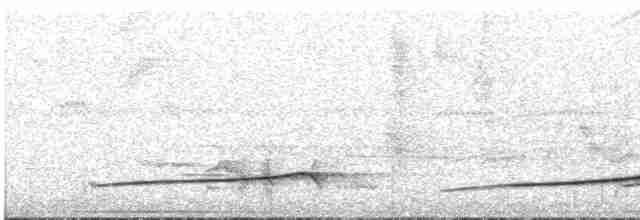 Лінивка-смугохвіст панамська - ML611138186