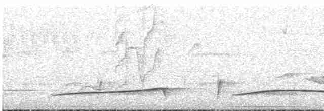Лінивка-смугохвіст панамська - ML611138196
