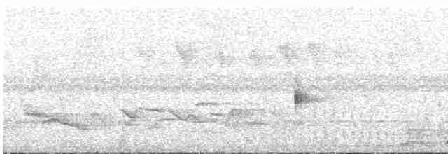 Pullu Yerçavuşu - ML611138252