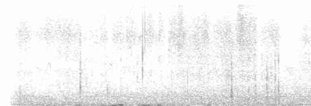 "Шишкар ялиновий (Ponderosa Pine, або тип 2)" - ML611139850