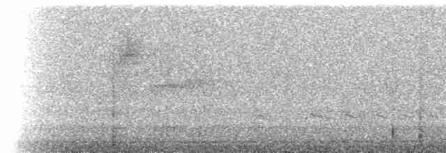 Мурашниця екваторіальна - ML611142367
