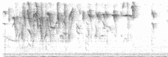 Percefleur masqué (groupe cyanea) - ML611142558
