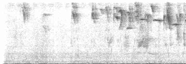 Percefleur masqué (groupe cyanea) - ML611142559
