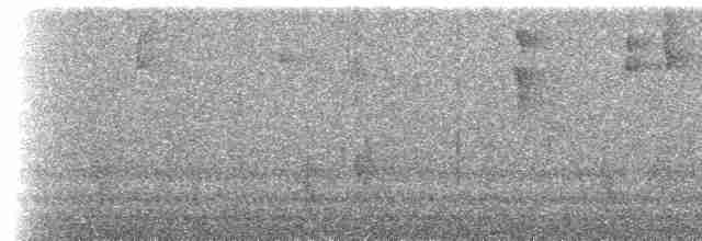 Ekvatoryal Yerçavuşu - ML611142578