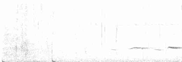 Planalto Gri Karıncaavcısı - ML611143146