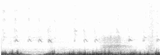 Piquituerto de Cassia - ML611143806
