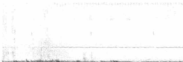 Scissor-tailed Nightjar - ML611144441