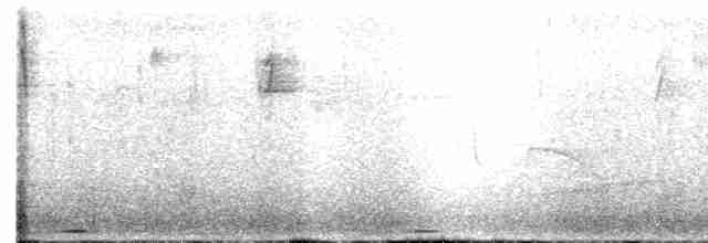 holoubek hnědoprsý - ML611144534