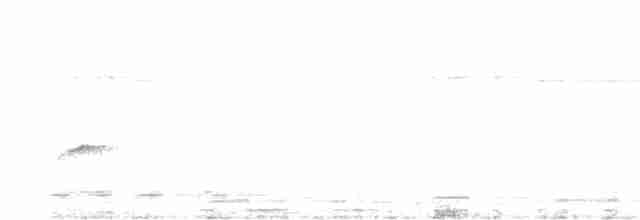 Белошейная веерохвостка - ML611145527