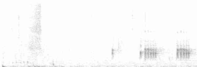 Rostbauch-Ameisenfänger - ML611146250